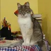 Отзыв от Карина Майорова